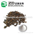 High quality 100% Natural glossy privet fruit extract Ursolic Acid 25%-98%